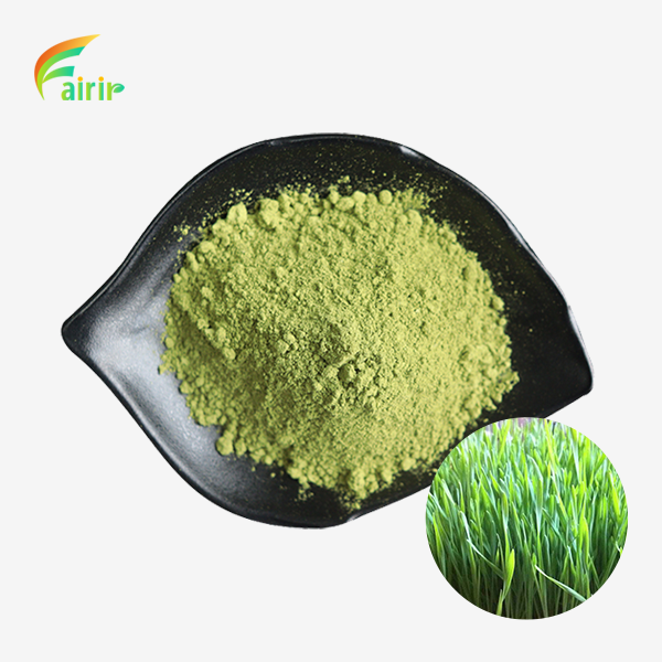 Organic Raw Barley Grass Juice Powder